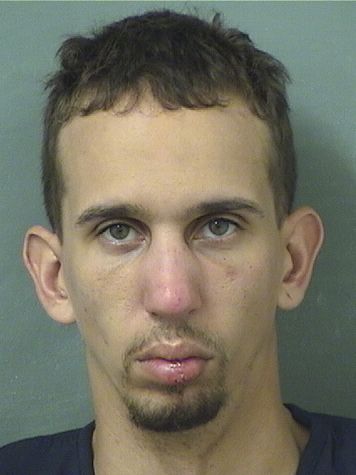  AUSTIN DOUGLAS SCHWANDTNER Resultados de la busqueda para Palm Beach County Florida para  AUSTIN DOUGLAS SCHWANDTNER