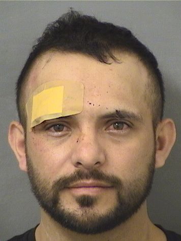 MOISES DIAZSEDANO Results from Palm Beach County Florida for MOISES DIAZSEDANO MOISES DIAZSEDANO Results from Palm Beach County Florida for MOISES DIAZSEDANO