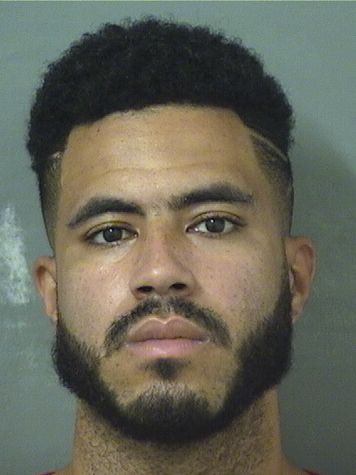  STEVEN JOHN WENDAL Results from Palm Beach County Florida for  STEVEN JOHN WENDAL