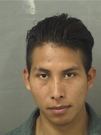 MARIO DOMINGO JEMINEZ Results from Palm Beach County Florida for MARIO DOMINGO JEMINEZ MARIO DOMINGO JEMINEZ Results from Palm Beach County Florida for MARIO DOMINGO JEMINEZ