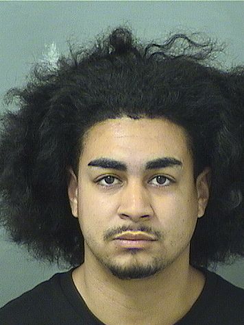  JOHN MICHAEL CRUZ Results from Palm Beach County Florida for  JOHN MICHAEL CRUZ