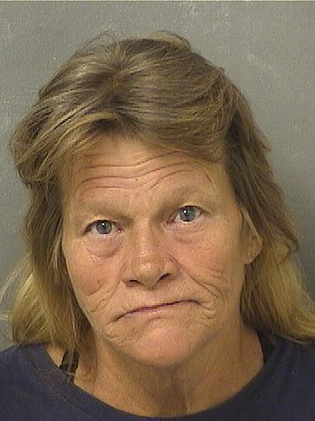  SUSAN LYNN JOHNSON Photo For  SUSAN LYNN JOHNSON