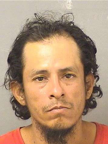  LEONARDO ESTRADA Photo For  LEONARDO ESTRADA