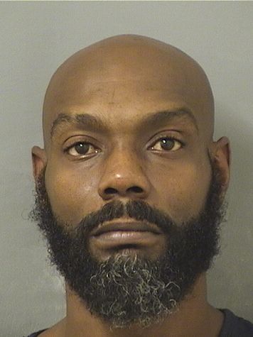  LANARIAN JOHNSON Results from Palm Beach County Florida for  LANARIAN JOHNSON