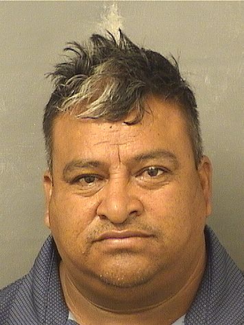 MIGUEL E OROZCO Results from Palm Beach County Florida for  MIGUEL E OROZCO