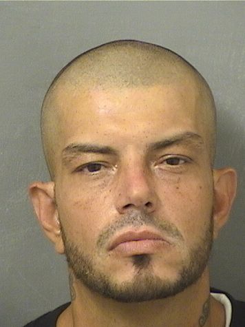  JOEY ANGLISANO Photo For  JOEY ANGLISANO