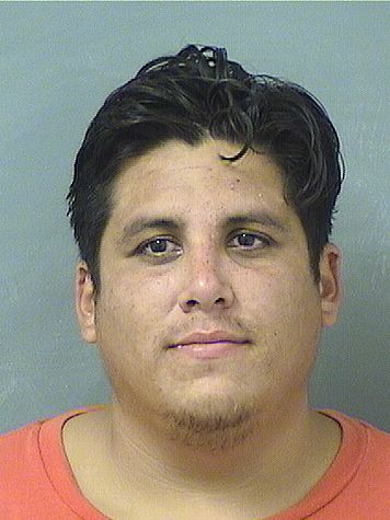 RANDY WILLIAM HALSTEAD Results from Palm Beach County Florida for RANDY WILLIAM HALSTEAD RANDY WILLIAM HALSTEAD Results from Palm Beach County Florida for RANDY WILLIAM HALSTEAD