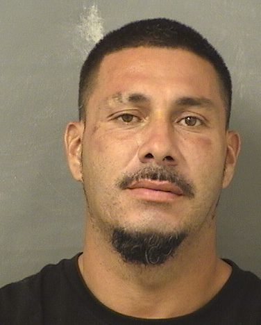 JOE DAVID SALINAS Results from Palm Beach County Florida for JOE DAVID SALINAS JOE DAVID SALINAS Results from Palm Beach County Florida for JOE DAVID SALINAS