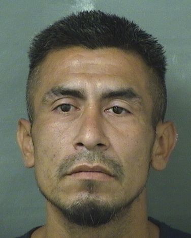  JUAN LAZARO Results from Palm Beach County Florida for  JUAN LAZARO