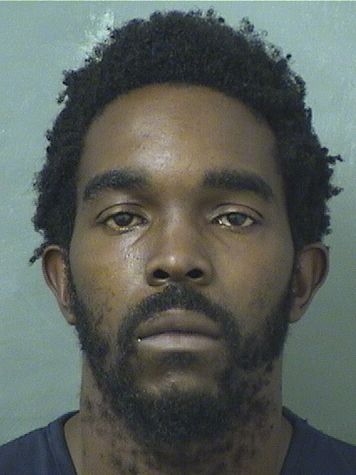  VICTOR LASHAWN NELSON Results from Palm Beach County Florida for  VICTOR LASHAWN NELSON