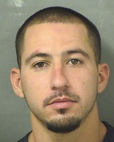  JOSHUA RYAN SANTIAGO Results from Palm Beach County Florida for  JOSHUA RYAN SANTIAGO