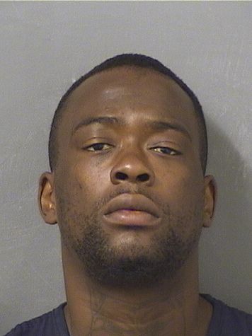  ERIK L WHITE Resultados de la busqueda para Palm Beach County Florida para  ERIK L WHITE