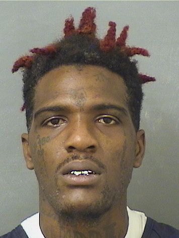  HARRY DANTE DACHOUTE Resultados de la busqueda para Palm Beach County Florida para  HARRY DANTE DACHOUTE