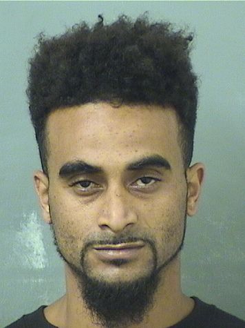  BRIAN JEFFREY KING Results from Palm Beach County Florida for  BRIAN JEFFREY KING