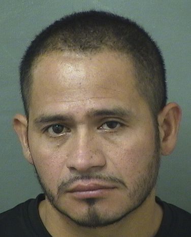  MARIO A VILLANUEVA Results from Palm Beach County Florida for  MARIO A VILLANUEVA