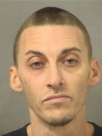  MICHAEL RICHARD GUIRARD Resultados de la busqueda para Palm Beach County Florida para  MICHAEL RICHARD GUIRARD