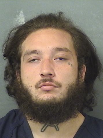  KYLE MICHAEL PANARO Results from Palm Beach County Florida for  KYLE MICHAEL PANARO