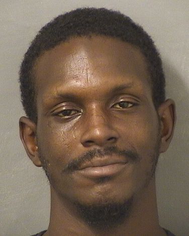  DAMIEN TERRENCE ANDREWS Results from Palm Beach County Florida for  DAMIEN TERRENCE ANDREWS