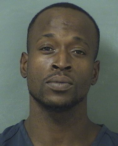  NELSONNE ALEZIE Results from Palm Beach County Florida for  NELSONNE ALEZIE