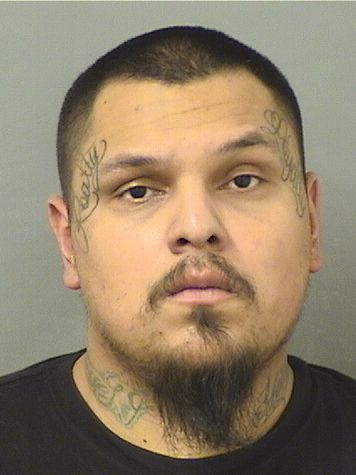  ANDRES CANTU Resultados de la busqueda para Palm Beach County Florida para  ANDRES CANTU