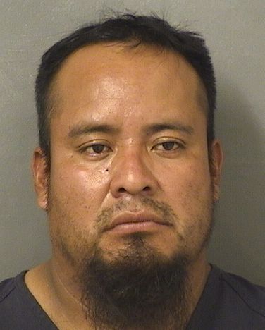  ARMANDO ORTIZDOMINGO Photo For  ARMANDO ORTIZDOMINGO