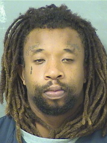  ANDY STEPHANO DELICE Resultados de la busqueda para Palm Beach County Florida para  ANDY STEPHANO DELICE