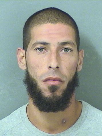  LUIS ANGELO GARCIA Results from Palm Beach County Florida for  LUIS ANGELO GARCIA