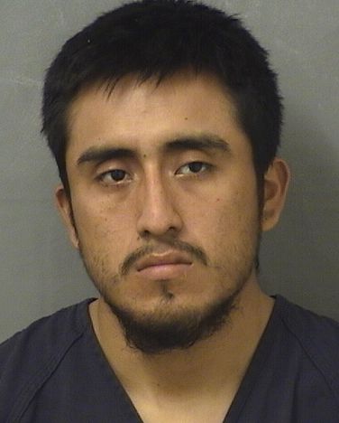  DANIEL MARTIN FRANCISCO Results from Palm Beach County Florida for  DANIEL MARTIN FRANCISCO