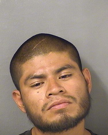  JUAN ISMAEL TUMGUARCHAJ Results from Palm Beach County Florida for  JUAN ISMAEL TUMGUARCHAJ