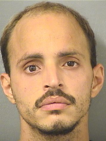  LUIS GABRIEL RIVERAVARGAS Results from Palm Beach County Florida for  LUIS GABRIEL RIVERAVARGAS