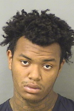  DAMIAN DANIEL III REMY Results from Palm Beach County Florida for  DAMIAN DANIEL III REMY