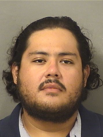  DAVID PUY Resultados de la busqueda para Palm Beach County Florida para  DAVID PUY