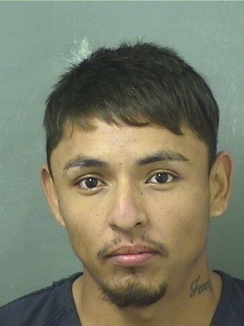  JOSE RONALDO RODRIGUEZMARTINEZ Results from Palm Beach County Florida for  JOSE RONALDO RODRIGUEZMARTINEZ