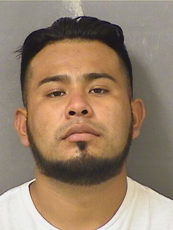  ABIMAEL DEDHOBALTAZAR Results from Palm Beach County Florida for  ABIMAEL DEDHOBALTAZAR