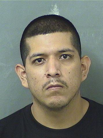  DANIEL HERNANDEZGARCIA Results from Palm Beach County Florida for  DANIEL HERNANDEZGARCIA