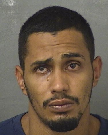  ALEXANDER MARTINEZNUNEZ Results from Palm Beach County Florida for  ALEXANDER MARTINEZNUNEZ