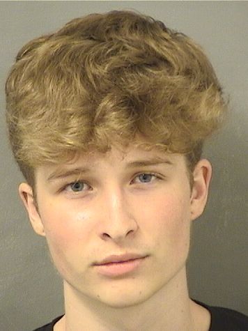  PAEGE ALBERT ZUCKER Resultados de la busqueda para Palm Beach County Florida para  PAEGE ALBERT ZUCKER