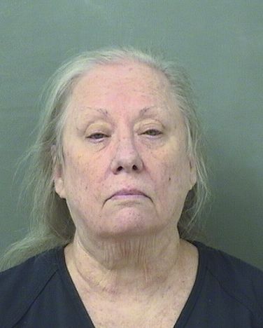  SUSAN MARIE BROWN Results from Palm Beach County Florida for  SUSAN MARIE BROWN