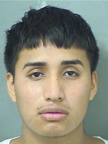  JOSE DANIEL GOMEZPAXTOR Results from Palm Beach County Florida for  JOSE DANIEL GOMEZPAXTOR