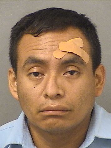  SAMUEL PEDROPASCUAL Results from Palm Beach County Florida for  SAMUEL PEDROPASCUAL