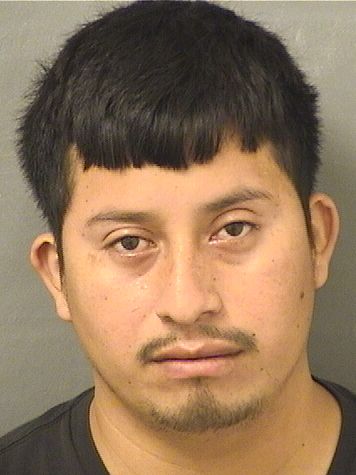 ANELSON OSCARCINTO PEREZ Photos For  ANELSON OSCARCINTO PEREZ  ANELSON OSCARCINTO PEREZ Photo For  ANELSON OSCARCINTO PEREZ