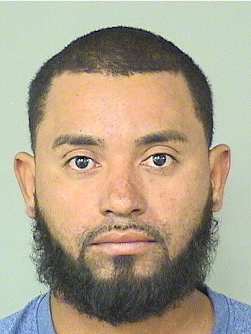  DODANY ARMANDO MATUTE Results from Palm Beach County Florida for  DODANY ARMANDO MATUTE