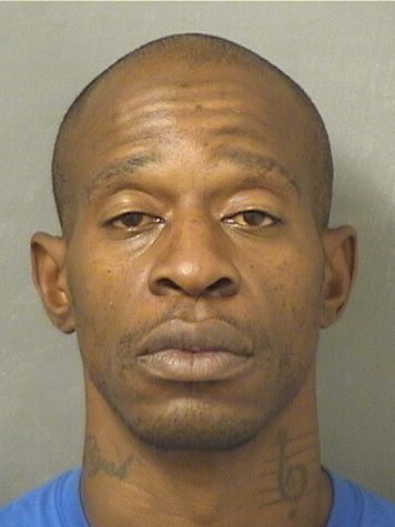  GEORGE ELVECIUS Resultados de la busqueda para Palm Beach County Florida para  GEORGE ELVECIUS