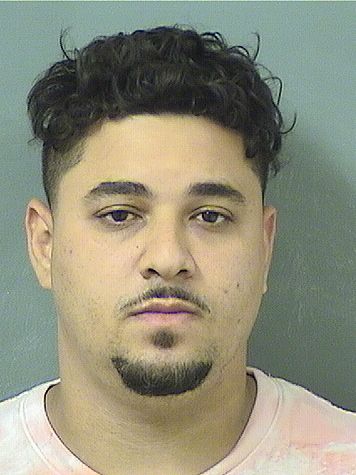  ZACHARY JENOHY ALEXANDER Results from Palm Beach County Florida for  ZACHARY JENOHY ALEXANDER