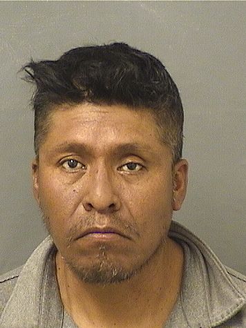  FELIPE NERI DIAZMIGUEL Photo For  FELIPE NERI DIAZMIGUEL