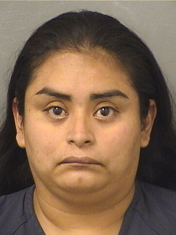  LIZETH SARAI GARCIALORENZANO Results from Palm Beach County Florida for  LIZETH SARAI GARCIALORENZANO