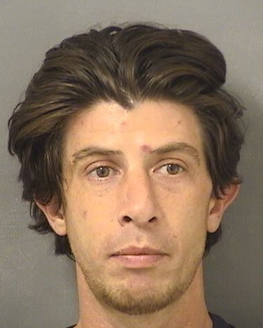  KEVIN RYAN PARMAN Results from Palm Beach County Florida for  KEVIN RYAN PARMAN