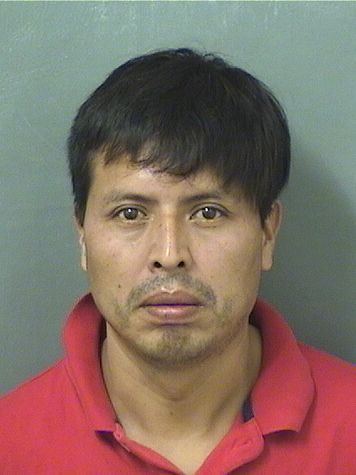 EDGAR BENJAMIN VELASQUEZROBLERO Results from Palm Beach County Florida for EDGAR BENJAMIN VELASQUEZROBLERO EDGAR BENJAMIN VELASQUEZROBLERO Results from Palm Beach County Florida for EDGAR BENJAMIN VELASQUEZROBLERO