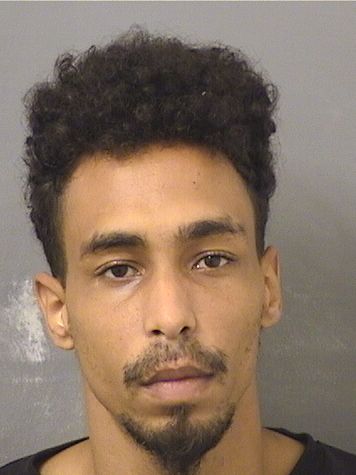  DONALD FERGUSON Results from Palm Beach County Florida for  DONALD FERGUSON