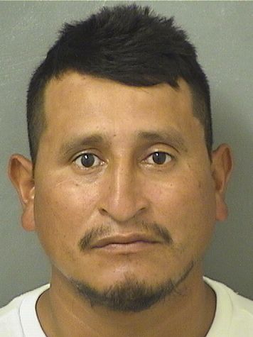  TITO BRAVO LOPEZ Resultados de la busqueda para Palm Beach County Florida para  TITO BRAVO LOPEZ